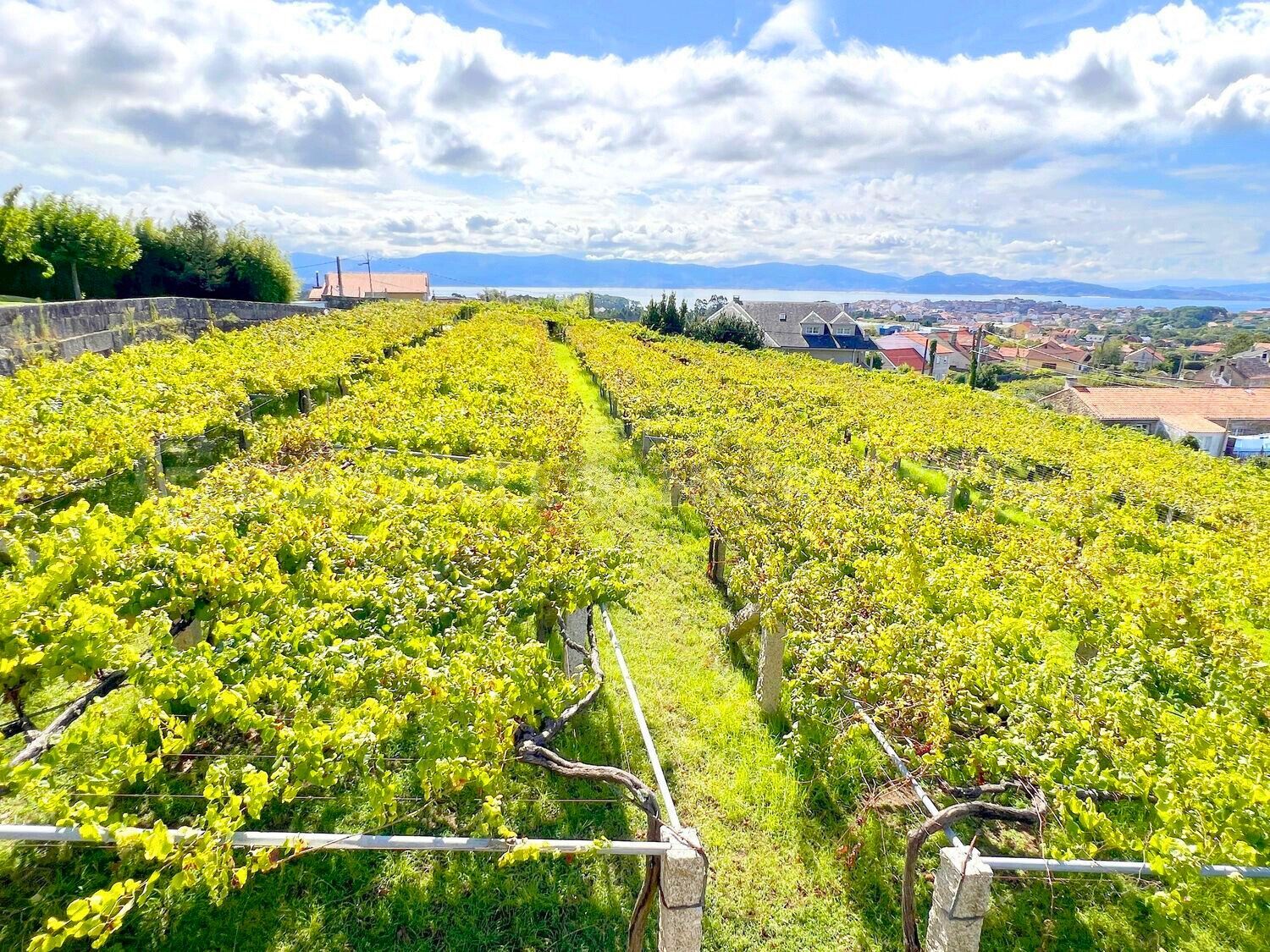 Luxury Mansion in Sanxenxo, Spain with Private Vineyard