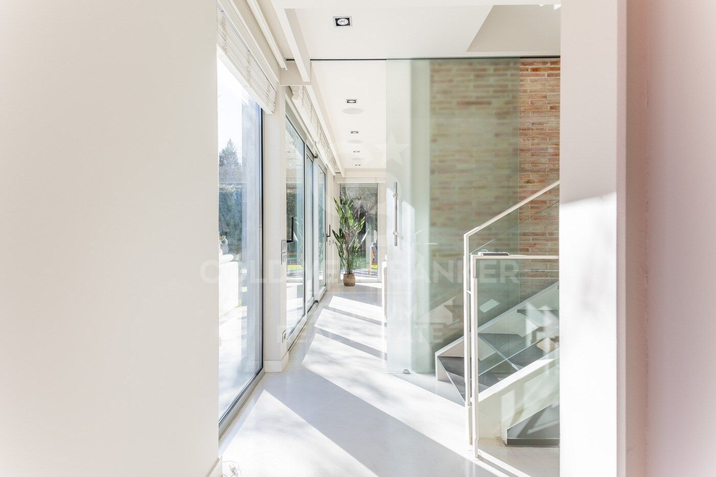 Spectacular house where space is the protagonist