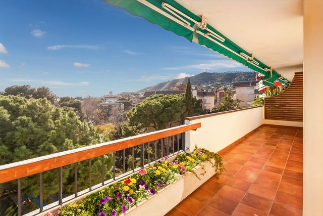 La primavera mueve el mercado inmobiliario: ¿estás listo para dar el paso?