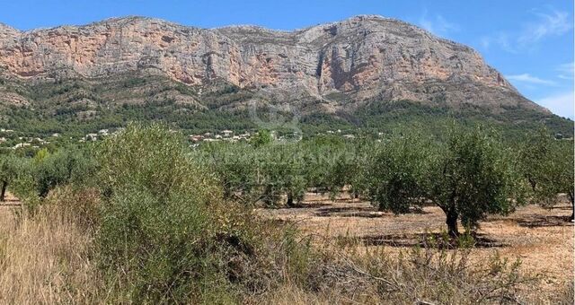 Parcelles d'un total de 3000 m2 avec vue dans la région de Montgó Valls