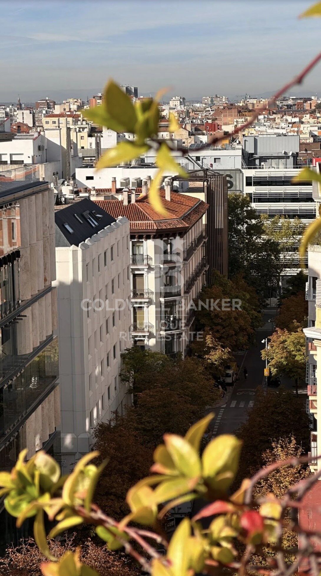 Penthouse to renovate in Castellana, Madrid