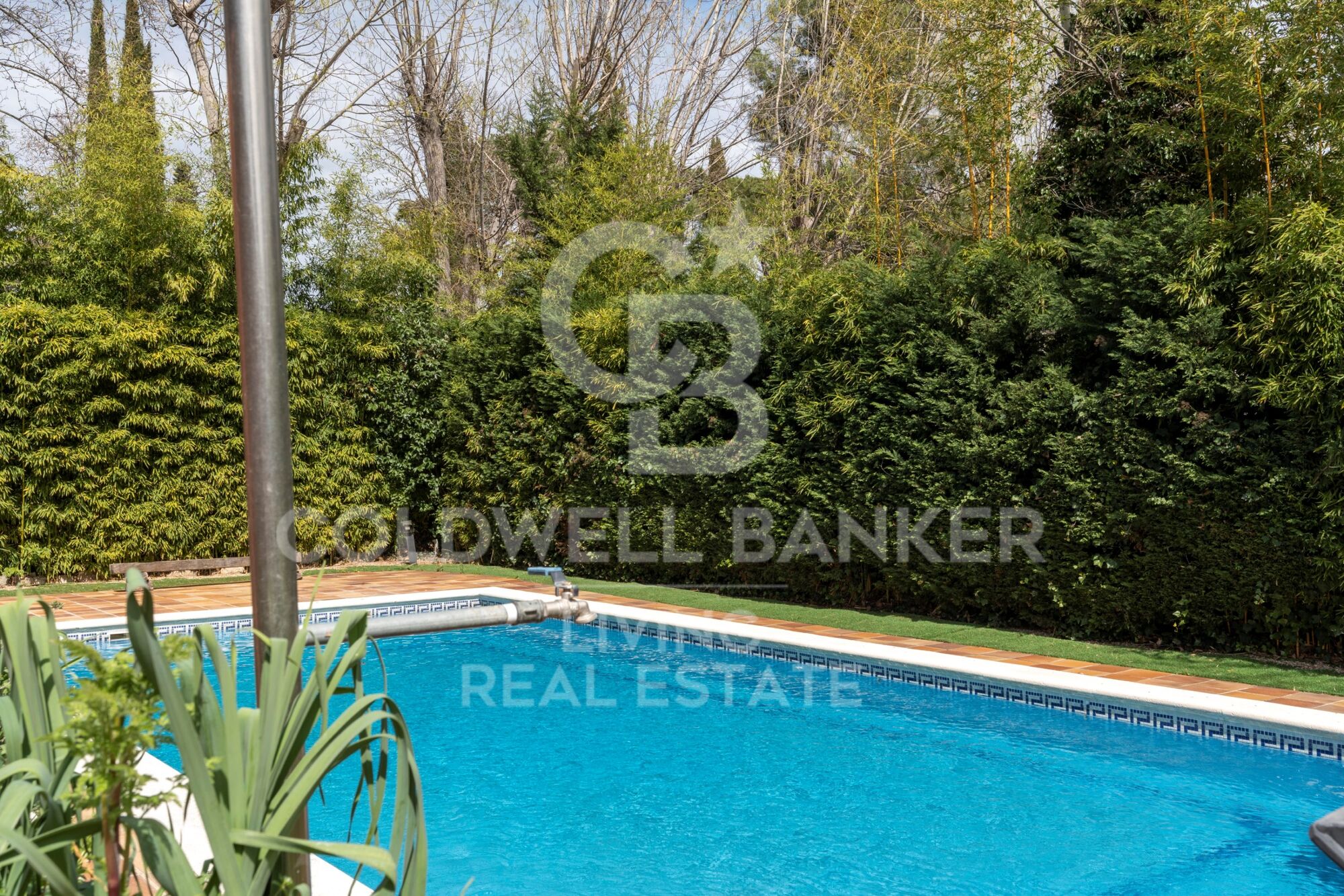 House 9 Bedrooms Sale Madrid