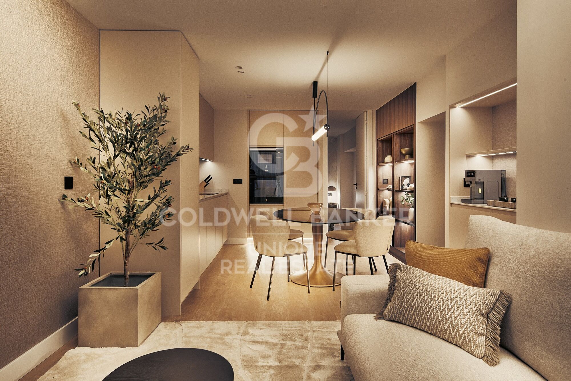 Renovated apartment in Castellana, Madrid