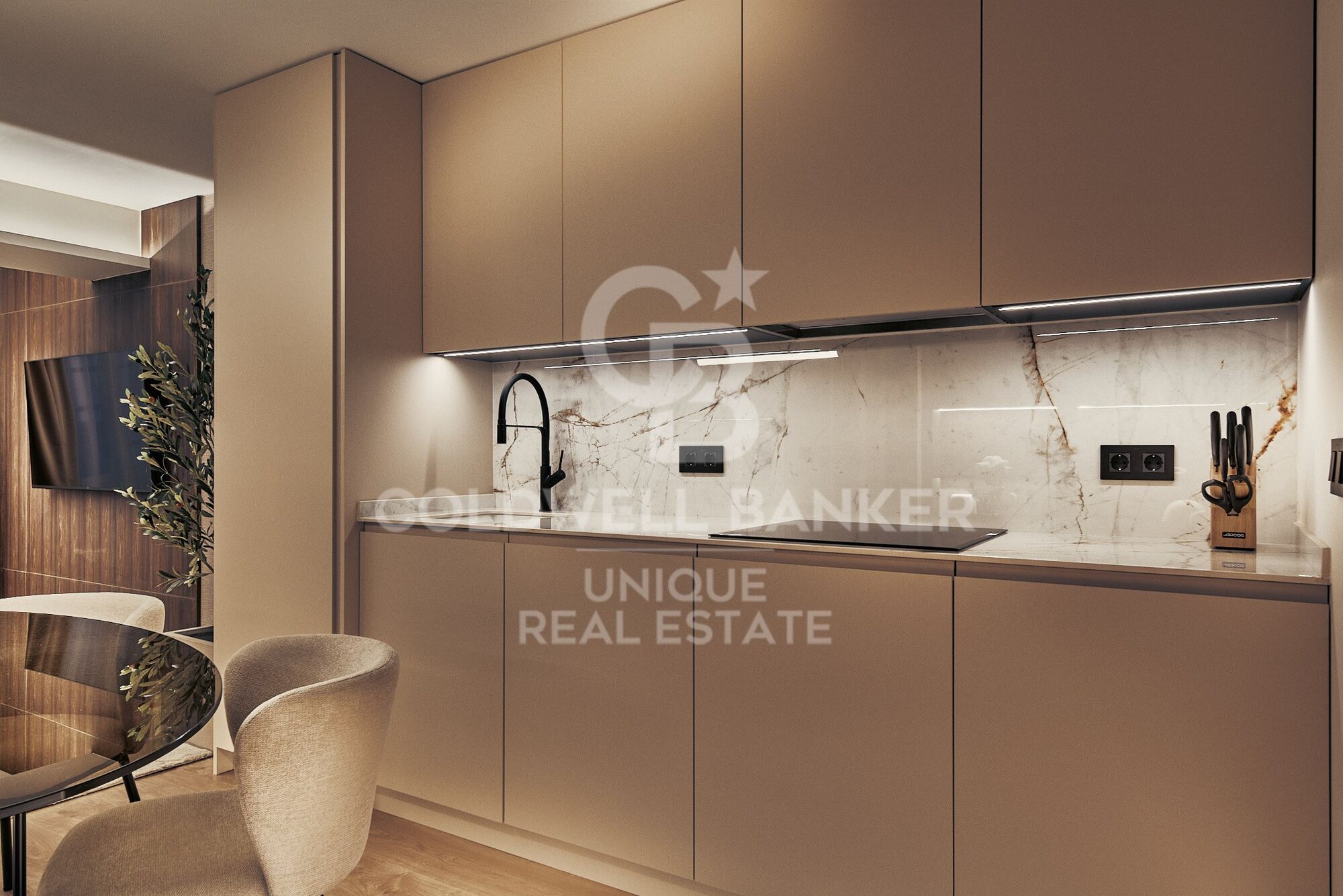 Renovated apartment in Castellana, Madrid