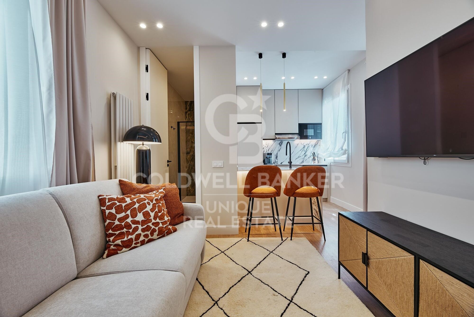 Penthouse with Private Terrace in Goya
