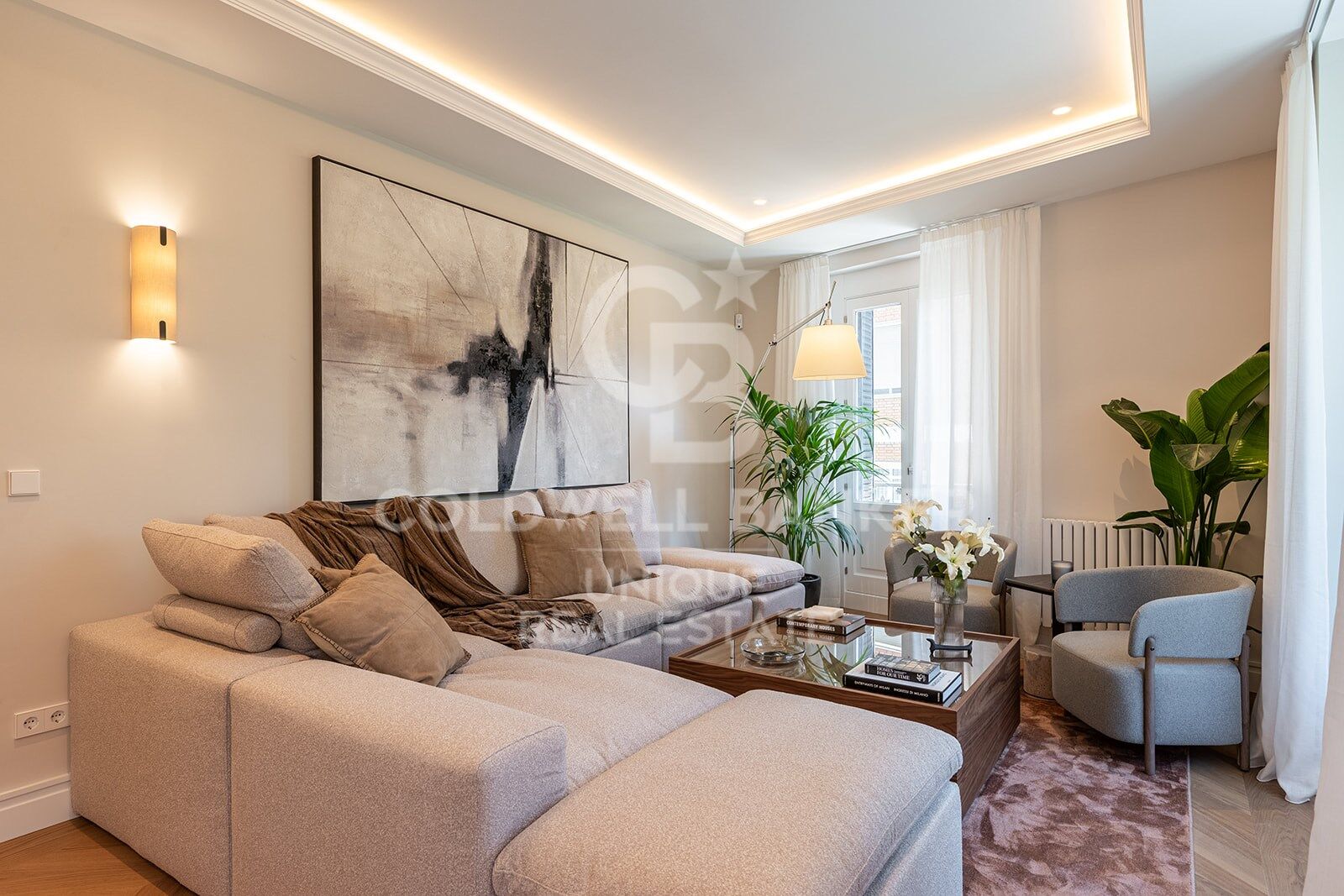 Apartment with 3 bedrooms and 6 balconies in Almagro