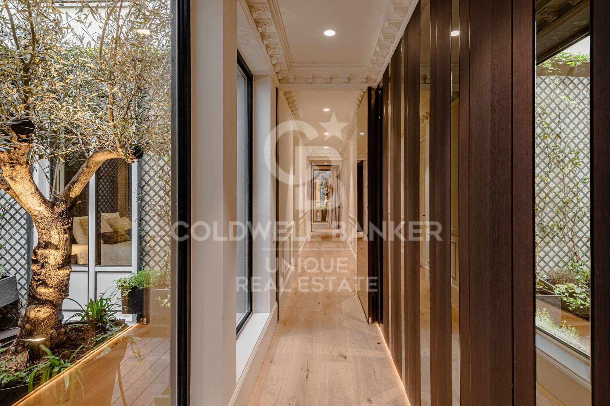 Ultra-luxury biophilic flat in Justicia