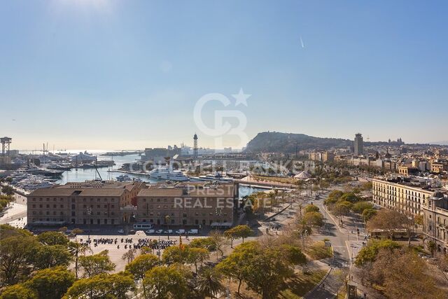 Newly renovated penthouse for sale in Santa Caterina i la Ribera, Barcelona