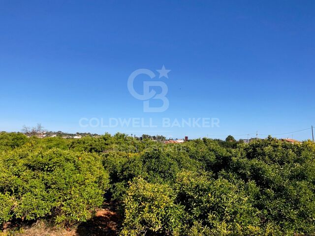 Completely flat building plot in La Xara