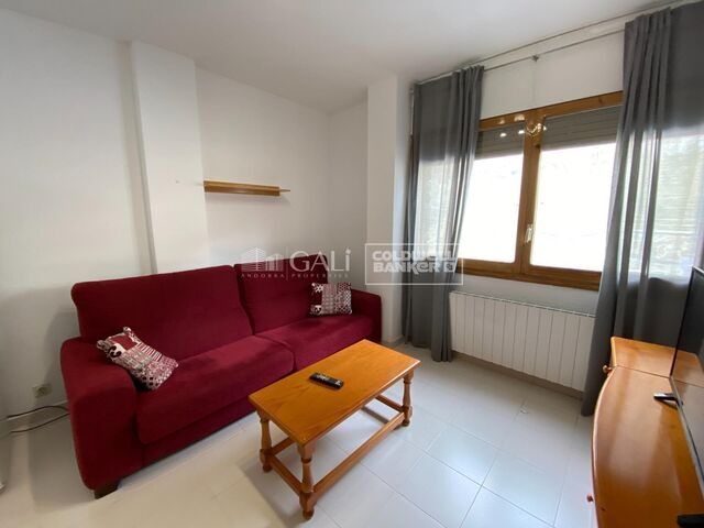 Apartment 1 Bedroom Rent Canillo