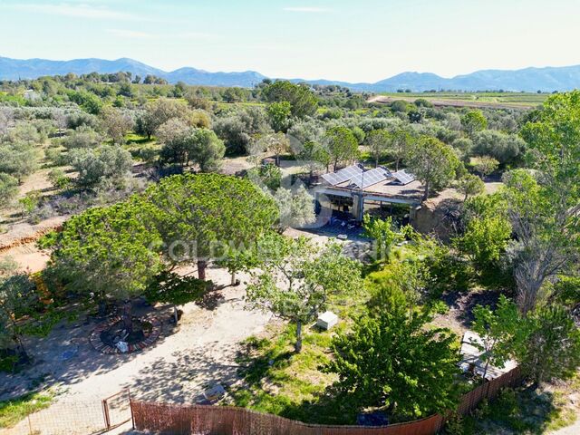 Maison et terrain avec oliviers à vendre à Peralada, respectueux de l'environement