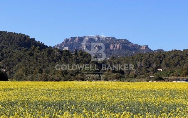Large plot of land in La Muntanyeta: Build your ideal home!