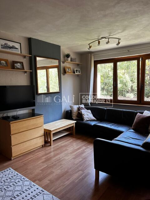 Apartment 3 Bedrooms Sale Canillo