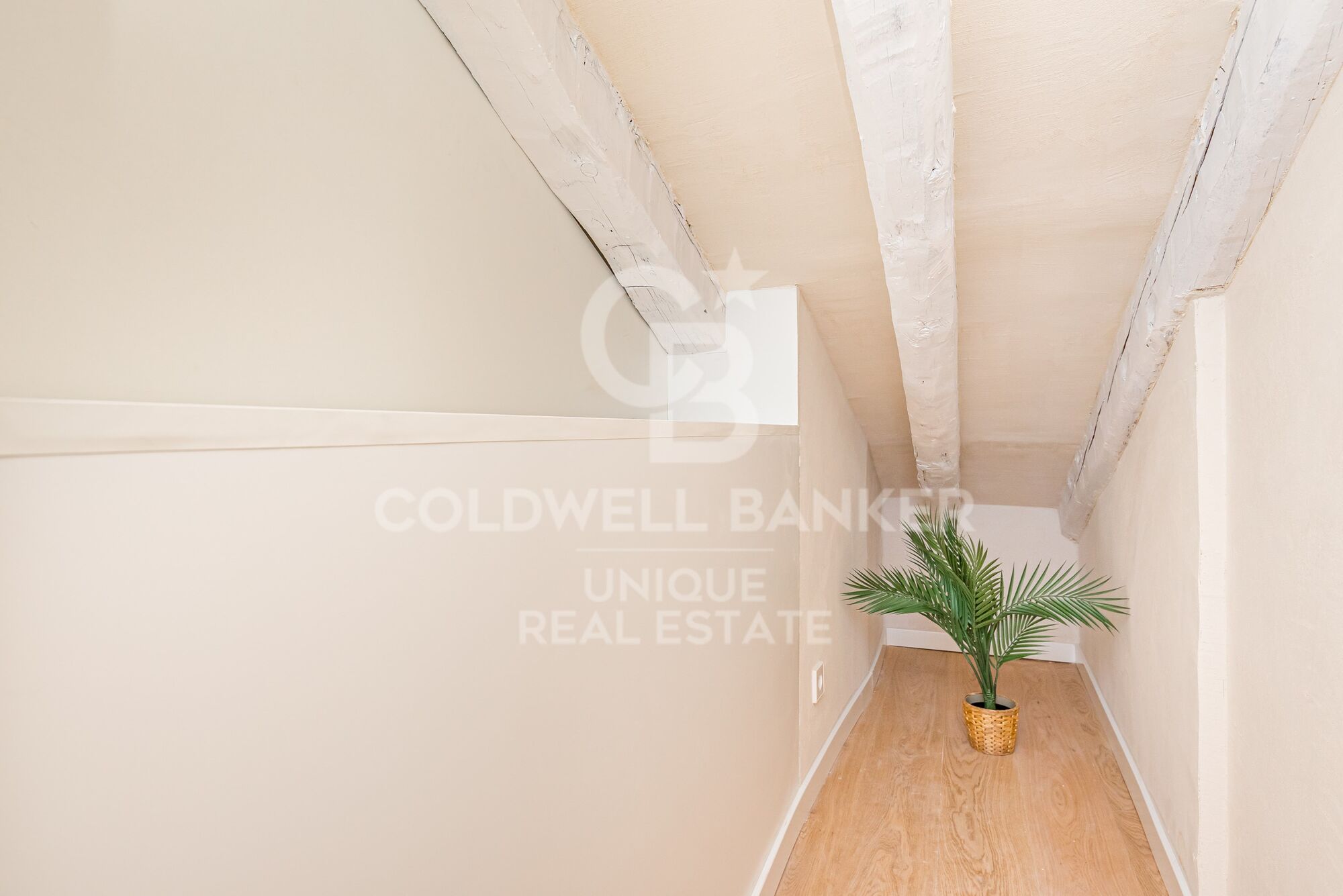 Exclusive property to be renovated in the La Latina neighbourhood, Madrid.
