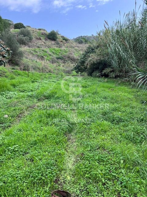 Rustic land in Cabopino, Marbella