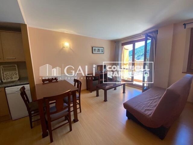 Apartment 1 Bedroom Sale Canillo