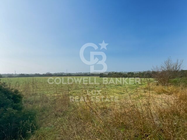 Terrenos en Peralada (39 u.)